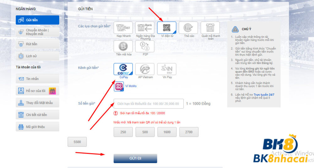 Các hình thức nạp tiền qua ví điện tử tại BK8