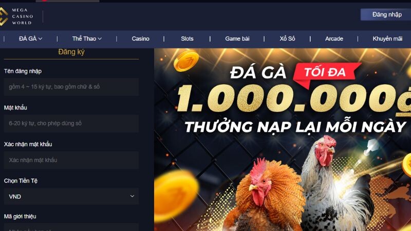 Hướng Dẫn Tham Gia Đá Gà Thomo tại mcw77.com Đúng Cách