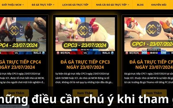 Xem đá gà MCW: Hấp dẫn từng giây